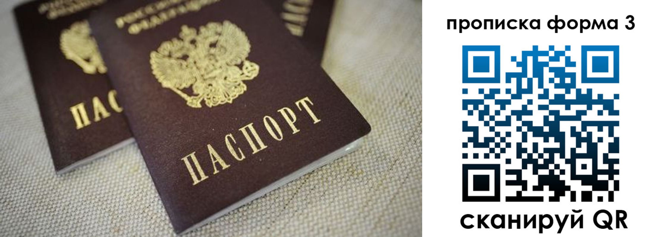 прописка поиск в Дятьково